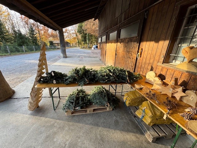 Aktuell Kranz- und Dekorationsäste 